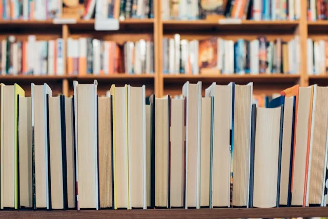 A book a day